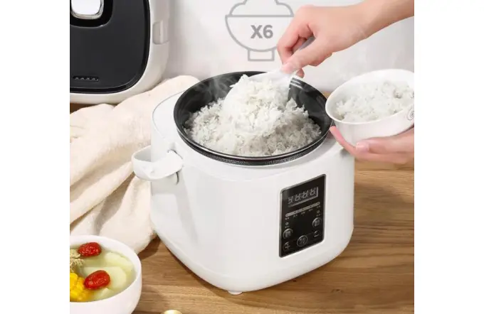 The Incredible Rice Cooker!