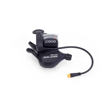 電動車 9速 雙控指撥 D300