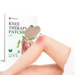 Chinese Traditional Knee Pain Relief Patch Wholesale Knee Pain Relief Plaster