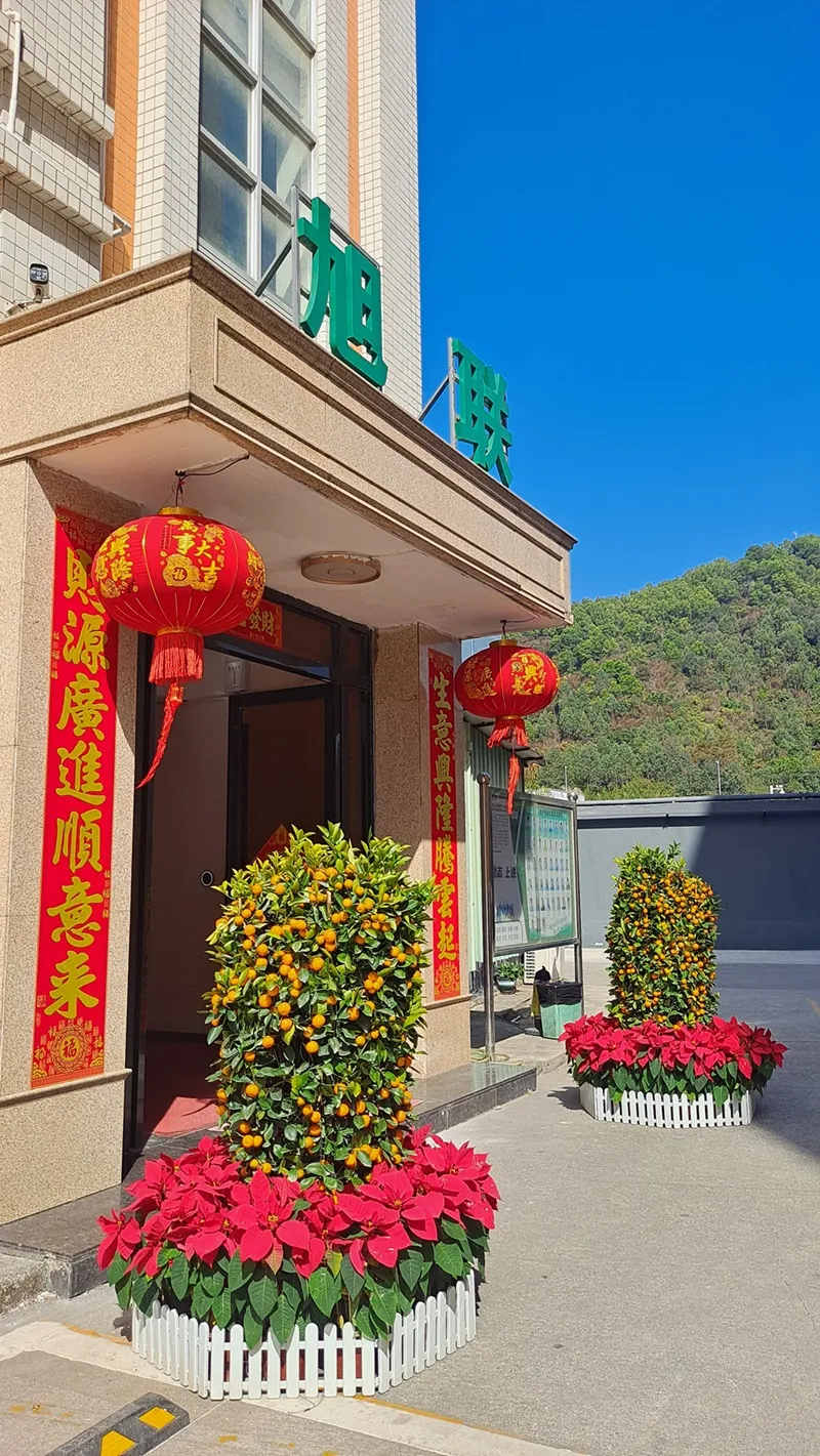 Celebrating 2025 Chinese Spring Festival