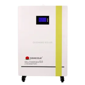 48V 200Ah Lithium Battery 1