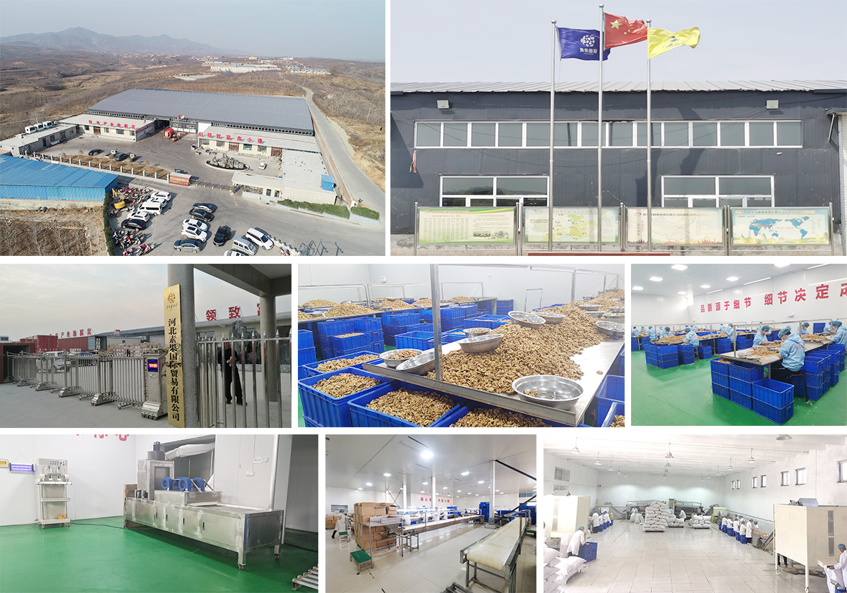 Hebei Suguo International Trade Co., Ltd.