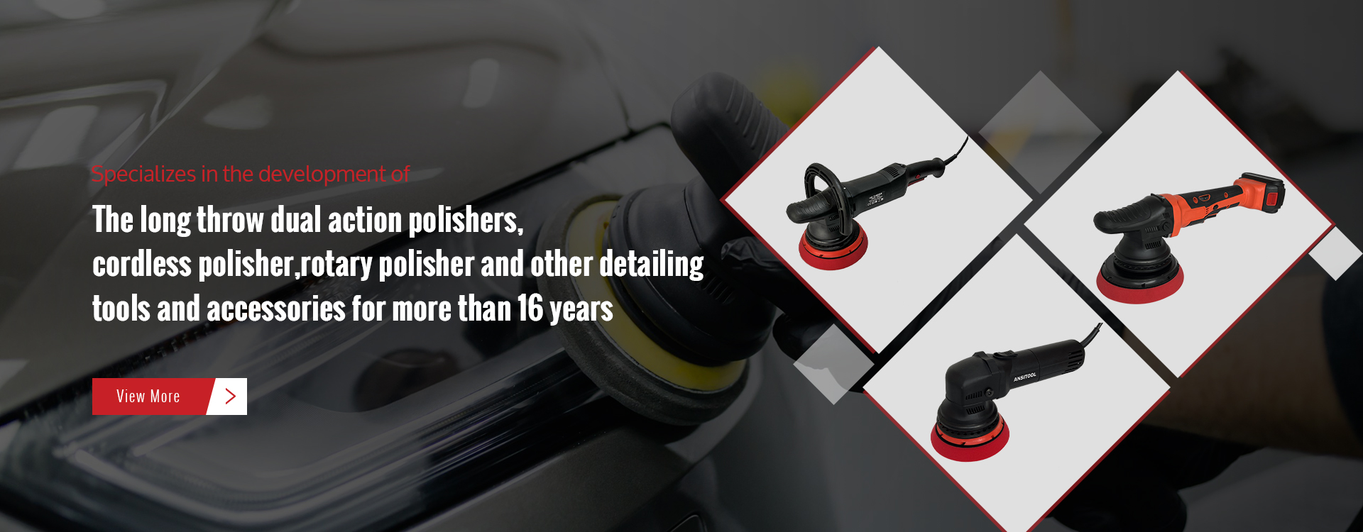 21mm dual action polisher