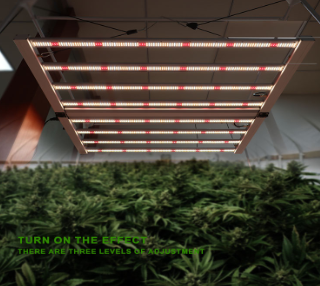 The use of led grow lights