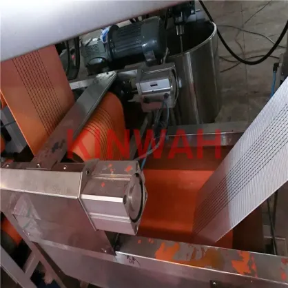 Webbing continuous dyeing machine