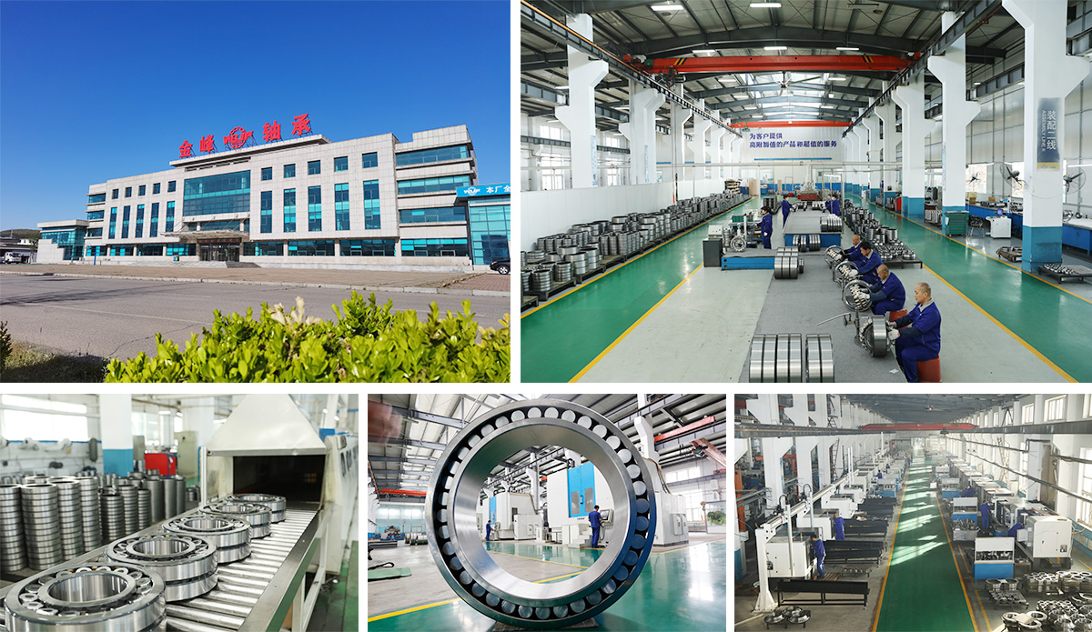 China Bearings Manufacturer