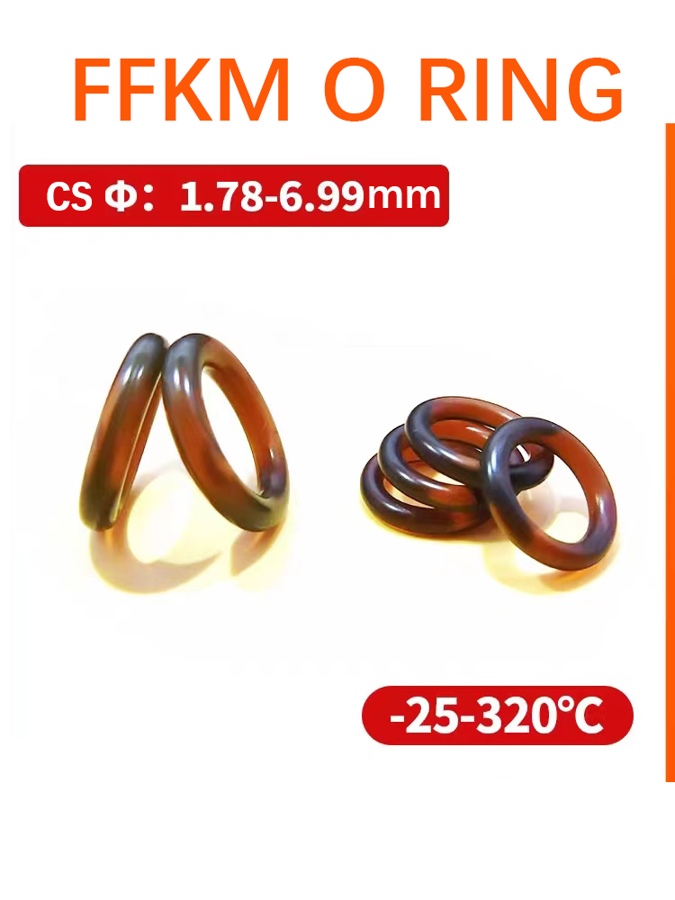 Ffkm O Ring