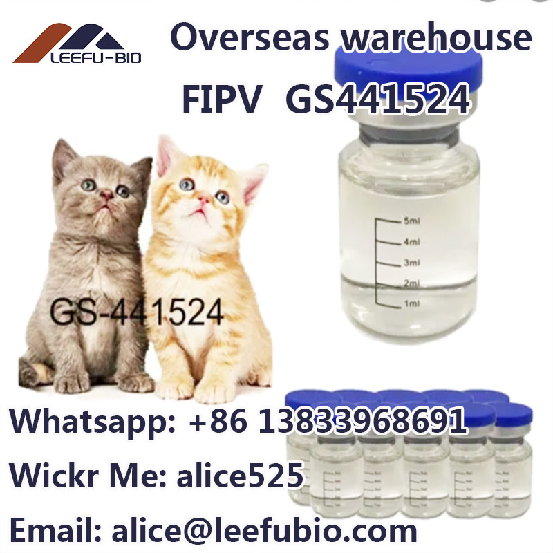 FIPV GS441 CAS 1191237-69-0 for sale
