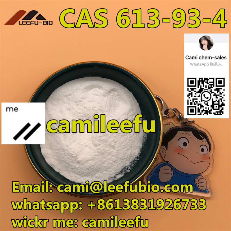 N-Methylbenzamide CAS 613-93-4 white powder