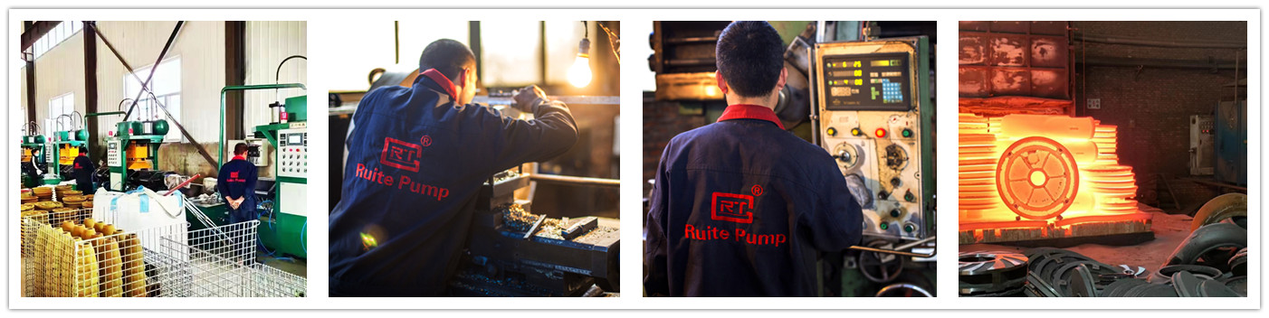 Shijiazhuang Ruite Pump Co., Ltd.