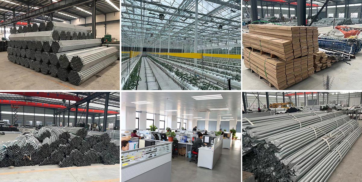 Shandong KunSheng Agriculture Technology Co., Ltd