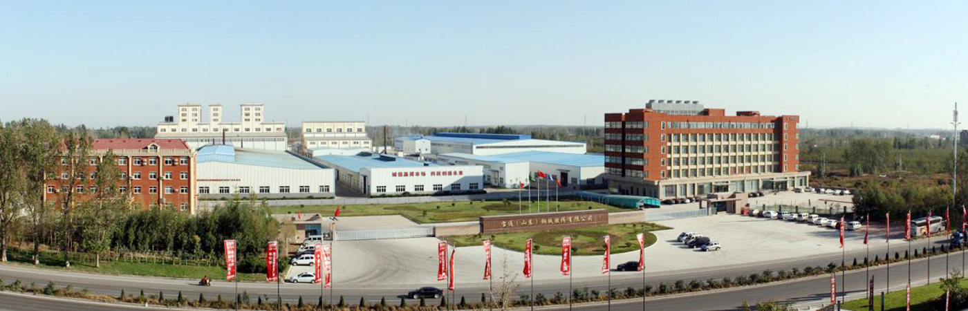 Baotong (Shandong) Import And Export Co., Ltd