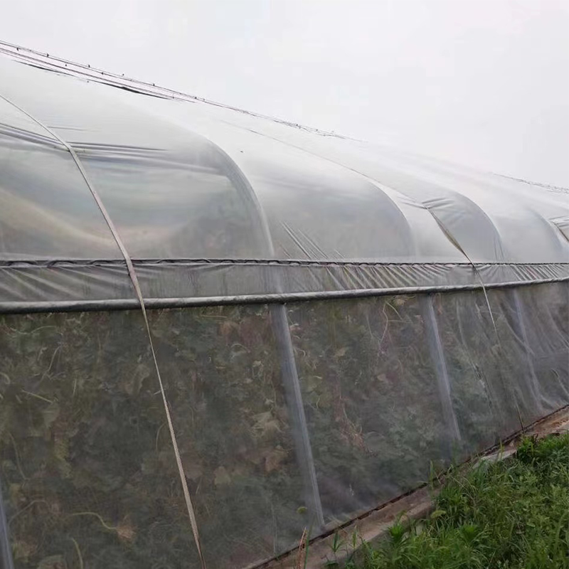 30 Mesh Insect Protection Net