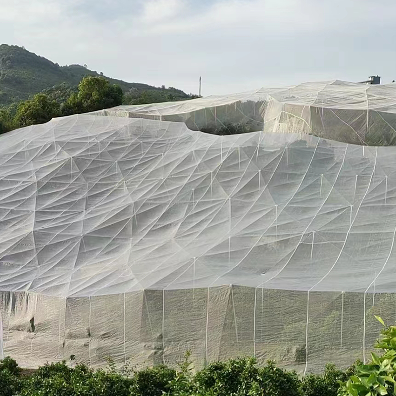 30 Mesh Insect Protection Net