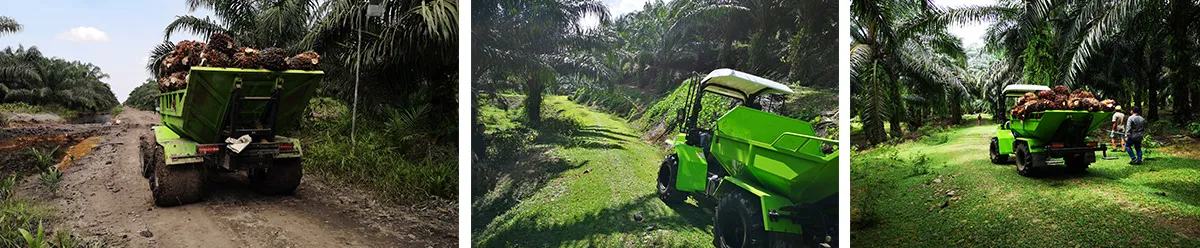 Palm Plantation Tractor