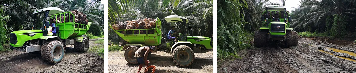 Palm Plantation Tractor