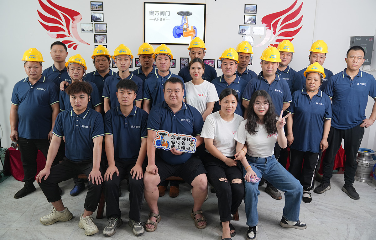 Wenzhou AFBV Valve Fittings Co., Ltd. Wenzhou AFBV Valve Fittings Co., Ltd.