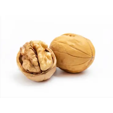 New Crop High Quality Walnut with Shell