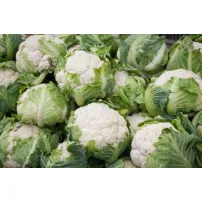 China Export Fresh Cauliflower