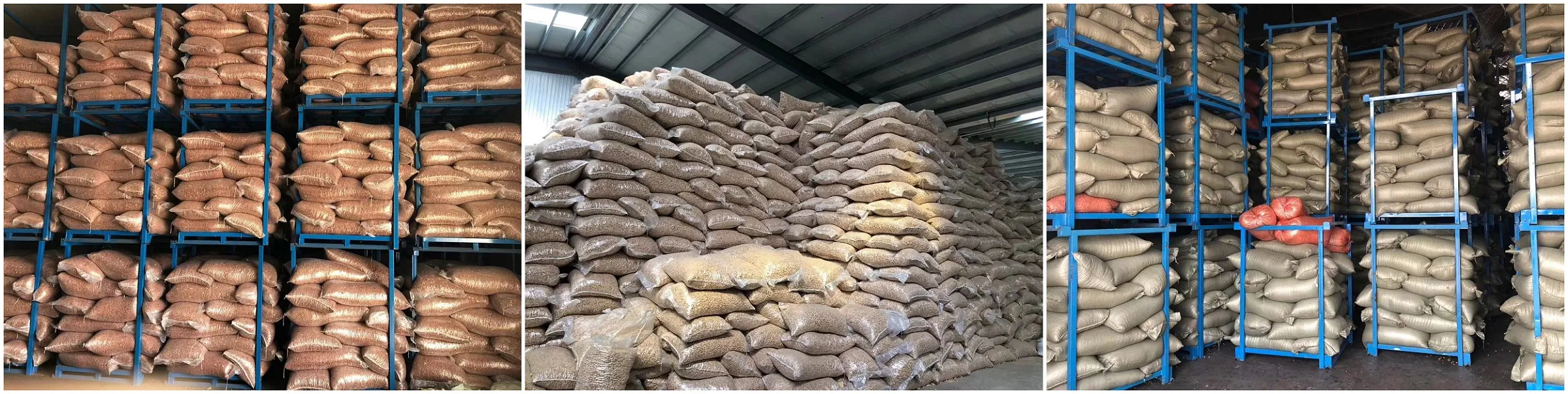 Chinese raw peanut in shell exporting
