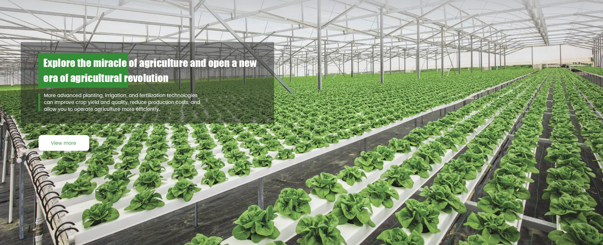 Shandong Libixi Fertilizer Co., Ltd Shandong Libixi Fertilizer Co., Ltd