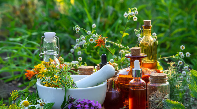 Medical Industry, Latest Research on Herbal Extracts: Human Health Medical Industry, Latest Research on Herbal Extracts: Human Health