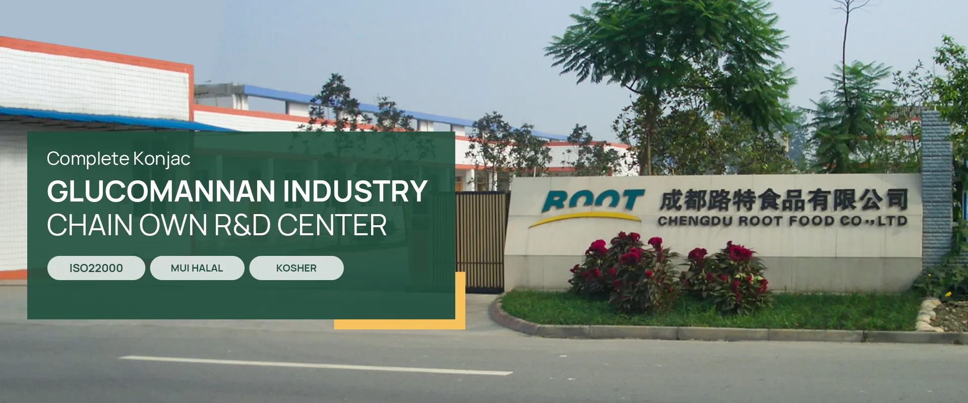 Chengdu Root Industry Co., Ltd