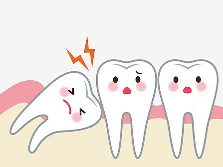 Why do we have wisdom teeth?