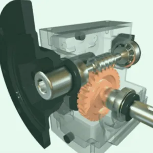 How Does a Worm Gear Work?