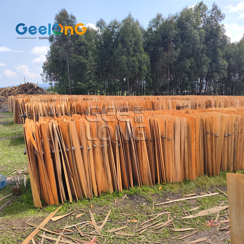 Successful Completion of 10 Containers of Eucalyptus Veneer Shipment Successful Completion of 10 Containers of Eucalyptus Veneer Shipment
