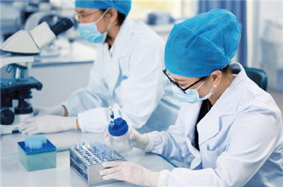 Packaging Solutions Gucheng County Wanhui Packaging Technology Co., Ltd. Packaging Solutions Gucheng County Wanhui Packaging Technology Co., Ltd.
