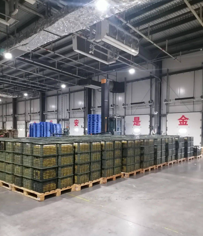 {title_attr_replace} {alt_attr_replace}