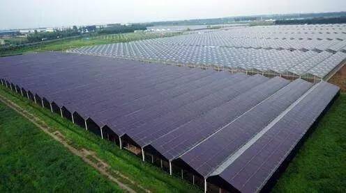 Solar cell efficiency in various types