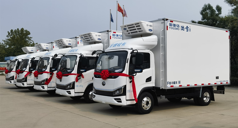 Yogomo TAXUE Series Refrigerated Truck Delivery