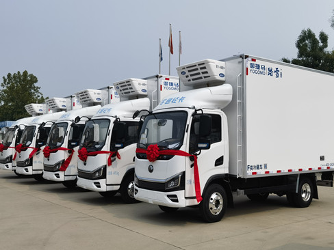 Yogomo TAXUE Series Refrigerated Truck Delivery