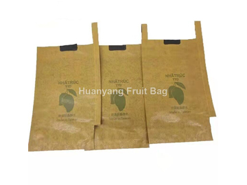 Mango Fruit Bags
