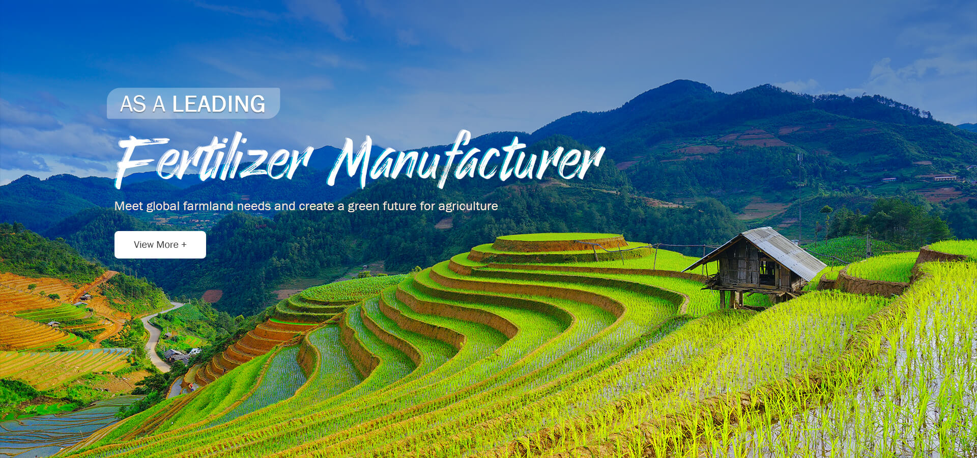 Hebei Lvwang Ecological Fertilizer Co., Ltd. Hebei Lvwang Ecological Fertilizer Co., Ltd.
