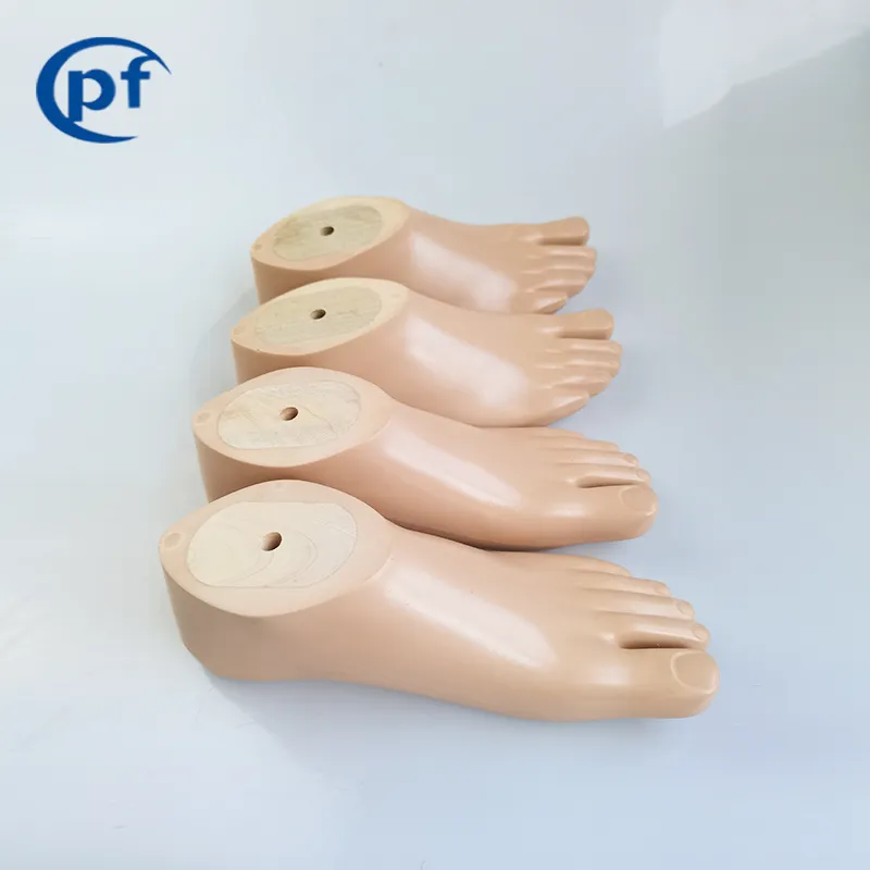 SACH Foot Prosthesis