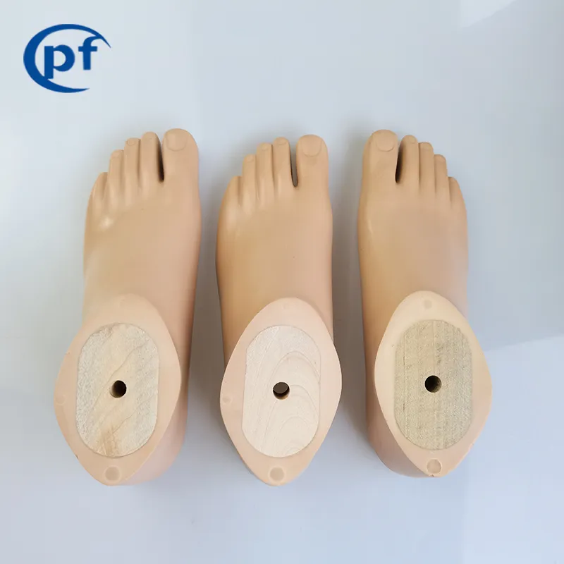 SACH Foot Prosthesis