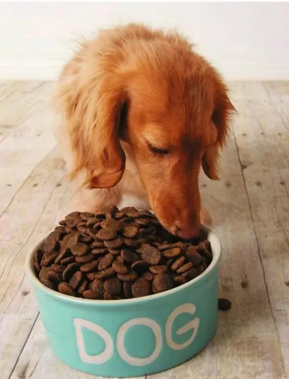 Dog FoodGraders and Batchers 宠物零食重量不仅仅是重量。