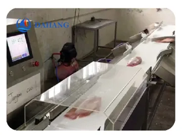 ماكينة فرز الأسماك | آلة تصنيف/فرز الوزن