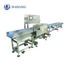 Chicken and meat weight grading sorter