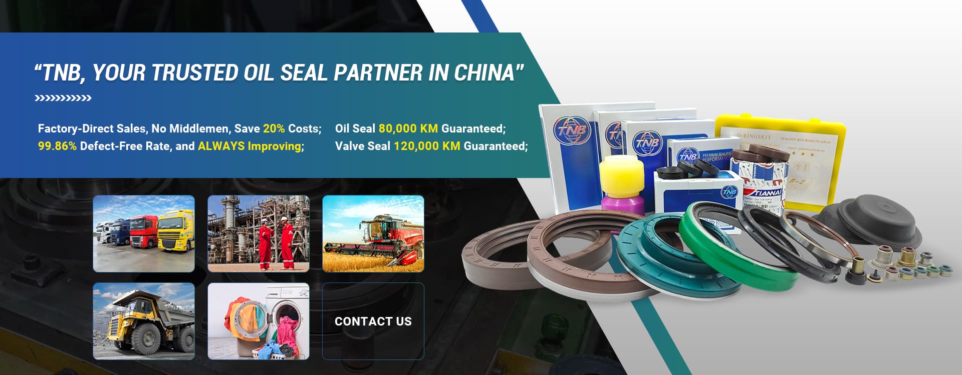 Xingtai Tiannai Seal Co., Ltd. Xingtai Tiannai Seal Co., Ltd.