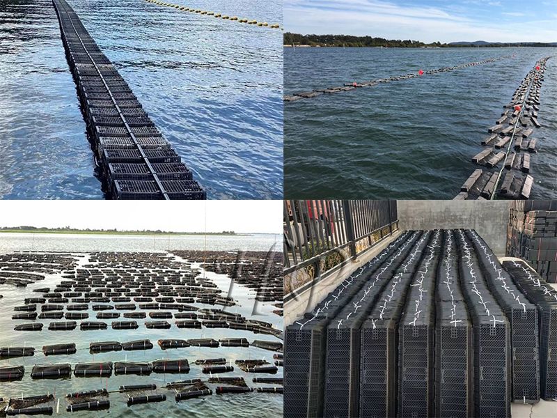 Oyster Farm How Does it Work Oyster Farm How Does it Work