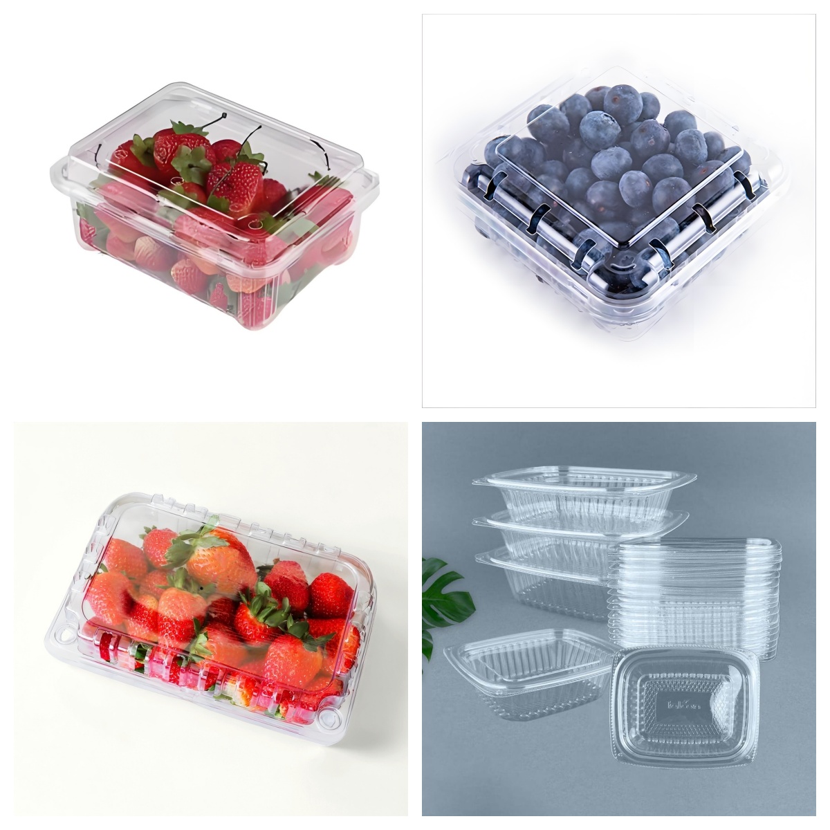 fruit plasitc box vacuum forming machine