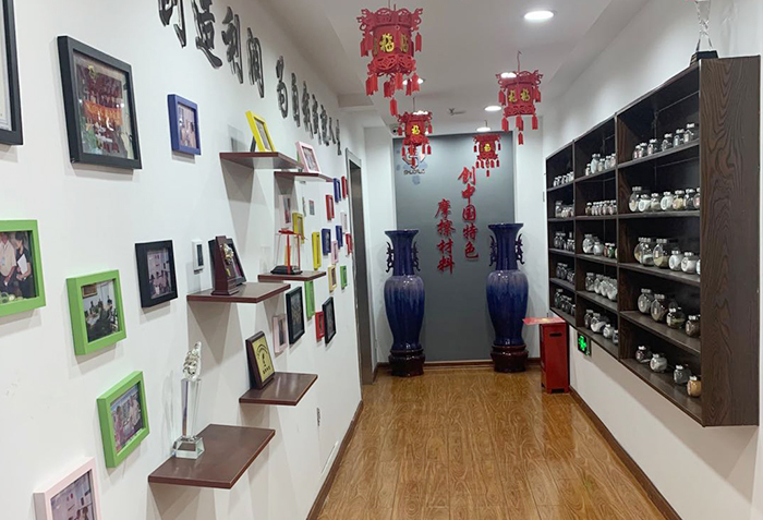 Shijiazhuang Shuo Ruo Technology Co., Ltd. Shijiazhuang Shuo Ruo Technology Co., Ltd.
