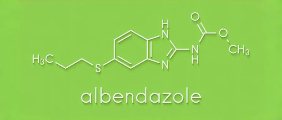 In 2024, Overseas Export Status of Albendazole from China In 2024, Overseas Export Status of Albendazole from China