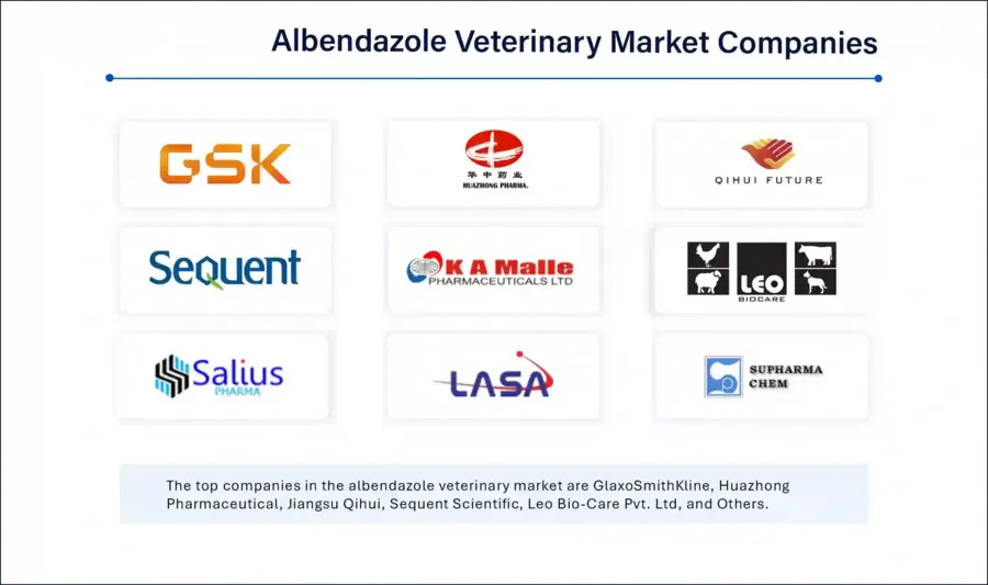 Albendazole Veterinary Market Size, Share and Trends 2025 to 2034 Albendazole Veterinary Market Size, Share and Trends 2025 to 2034