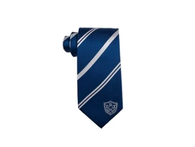 School tie customized for faculty - [Handsome tie]