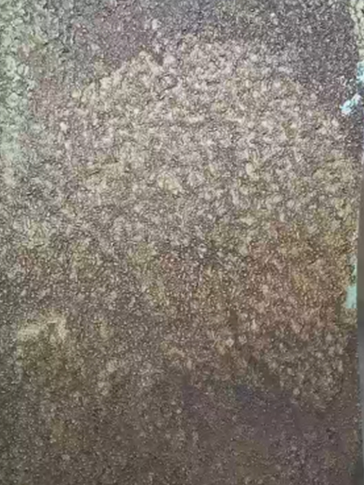 शहरी नवीकरण र भवन नवीकरण शहरी नवीकरण र भवन नवीकरण